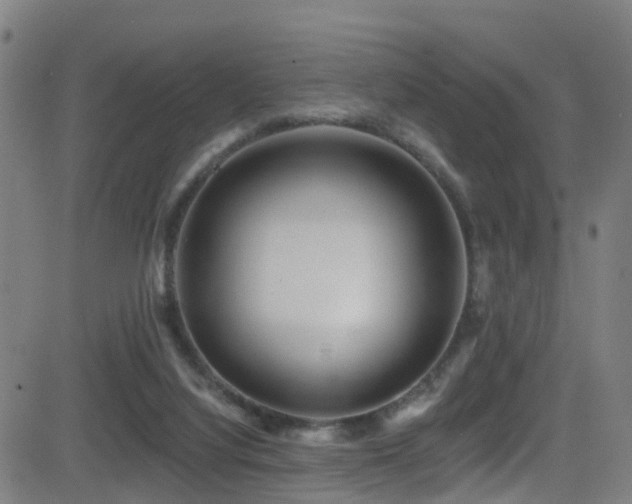 X0000081340068200701111435