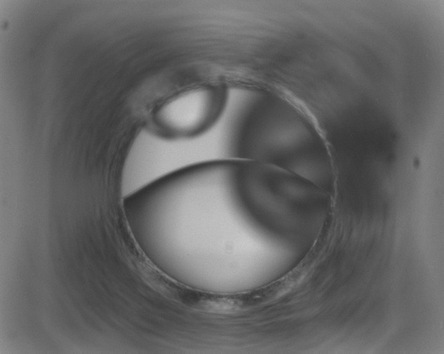 X0000081340069200701111435