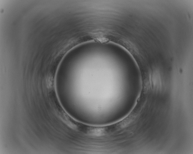 X0000081340081200701111435