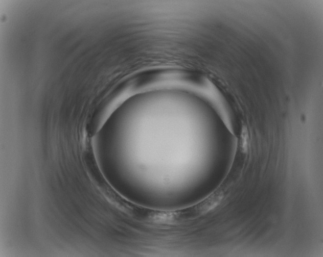 X0000081340084200701111435