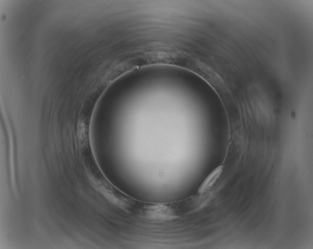 X0000081340087200701111435