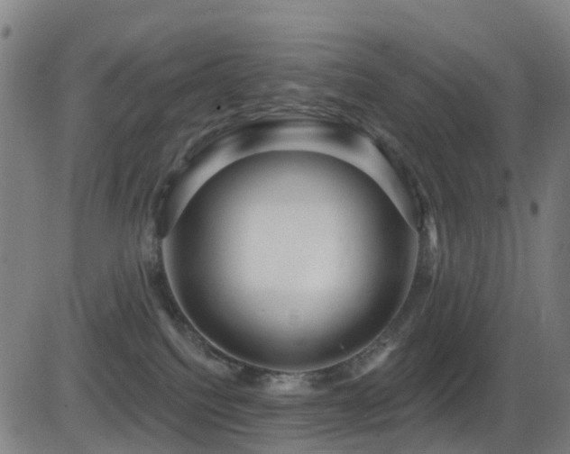 X0000081340088200701111435