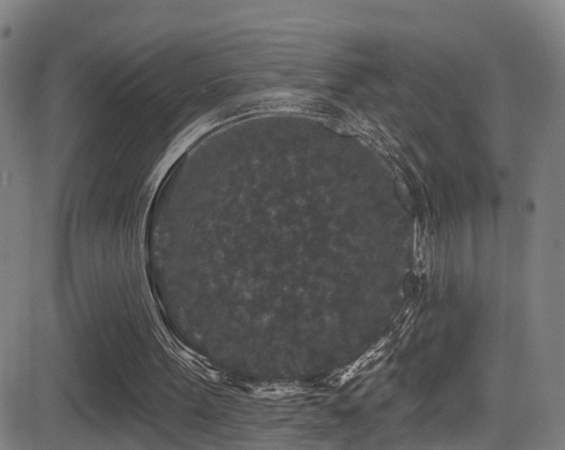 X0000081340099200701111434