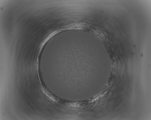X0000081340100200701111434