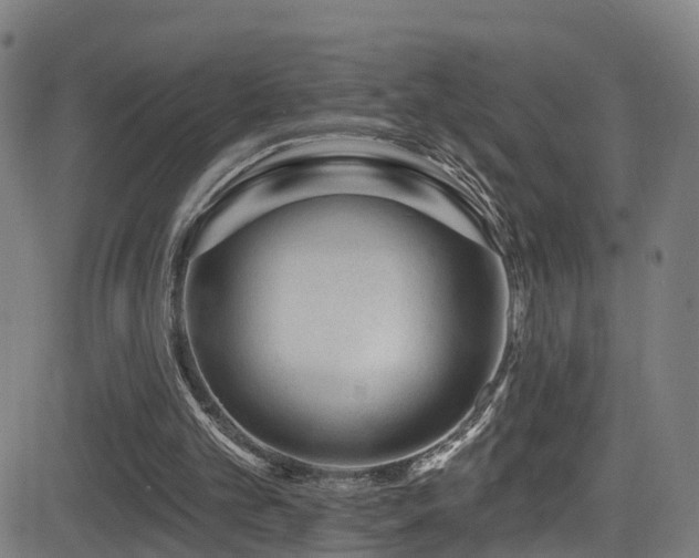 X0000081340101200701111434