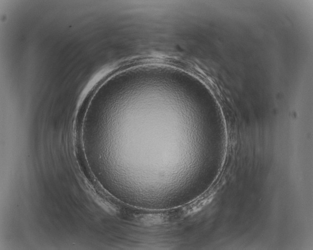 X0000081340102200701111434