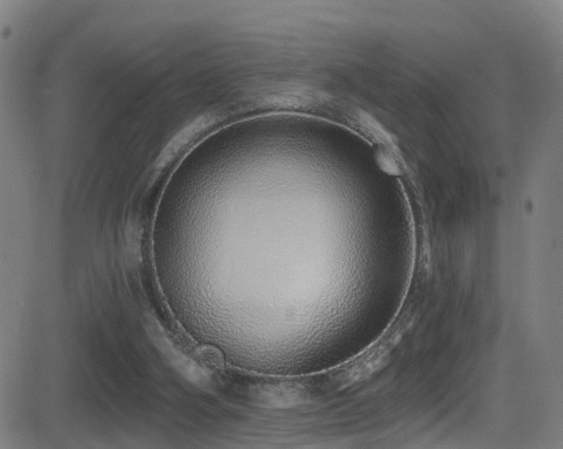 X0000081340106200701111434