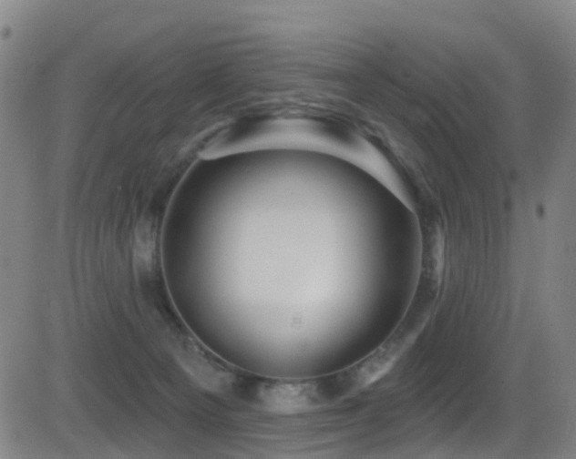 X0000081340129200701111434