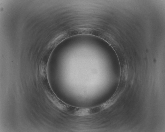 X0000081340138200701111434