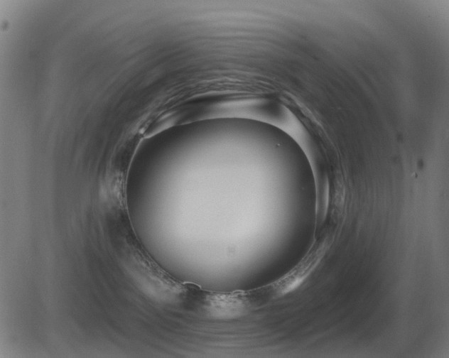 X0000081340141200701111434