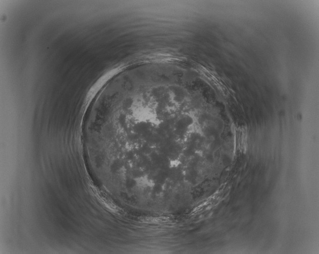 X0000081340147200701111433