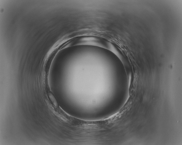 X0000081340150200701111433