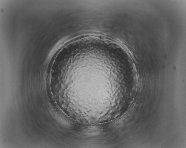 X0000081340151200701111433