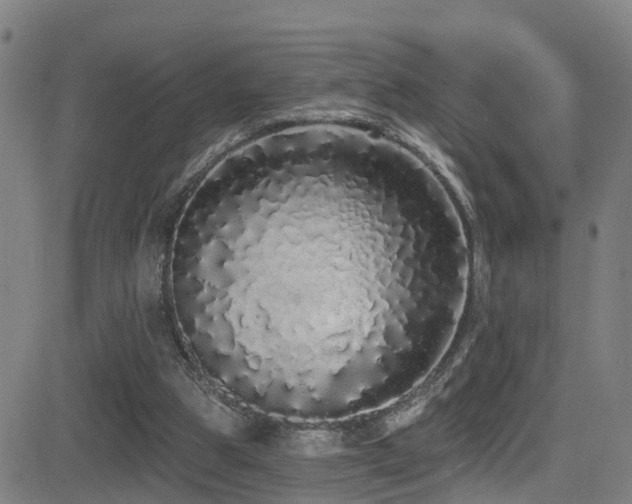X0000081340153200701111433