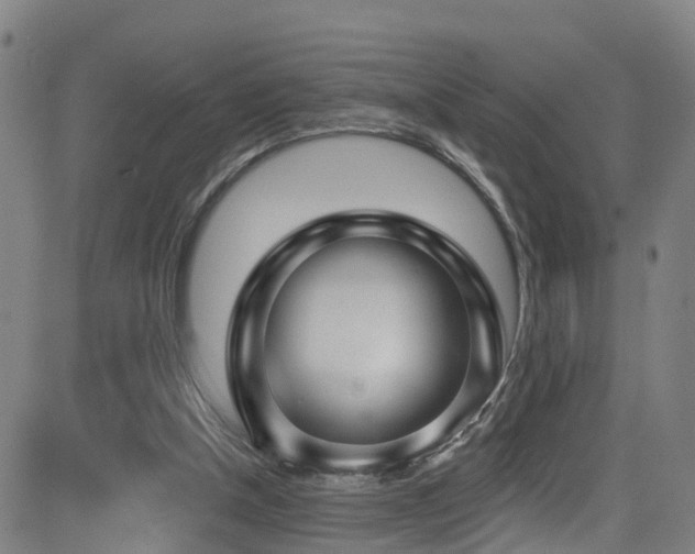 X0000081340154200701111433