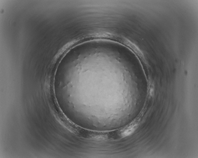 X0000081340155200701111433