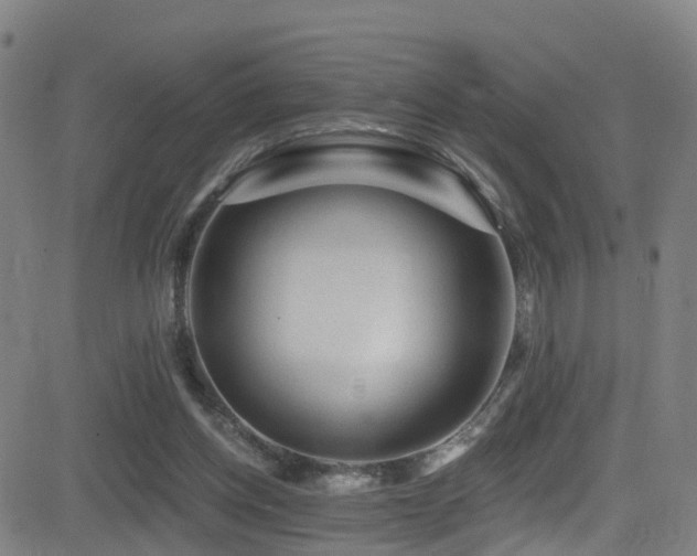 X0000081340158200701111433