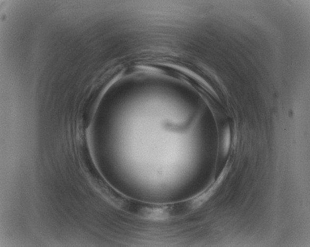 X0000081340170200701111433
