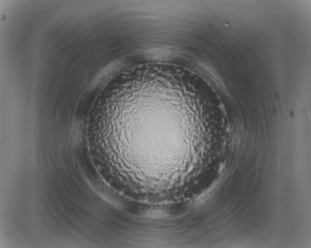 X0000081340171200701111433