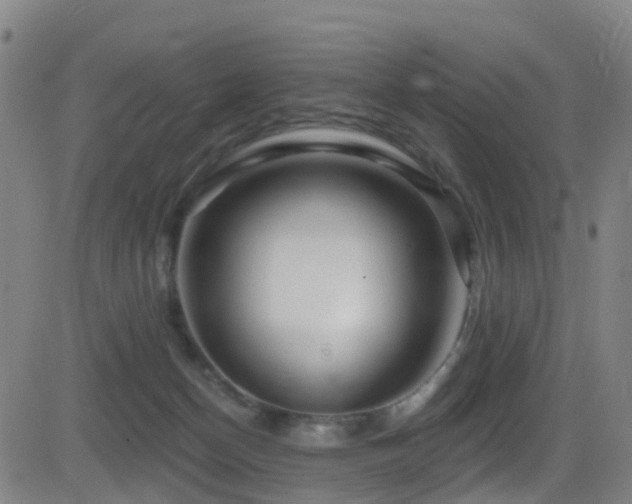 X0000081340174200701111433