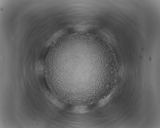 X0000081340179200701111433