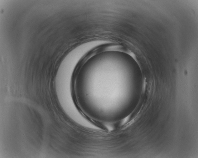 X0000081340180200701111433