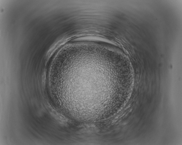 X0000081340194200701111433