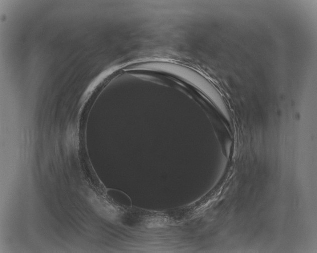 X0000081340200200701111433
