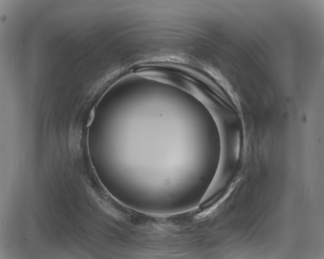 X0000081340201200701111433