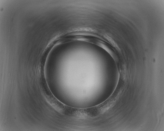X0000081340207200701111432