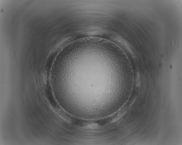 X0000081340210200701111432