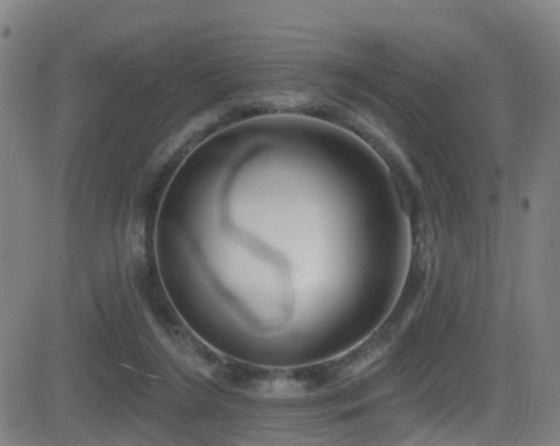 X0000081340212200701111432