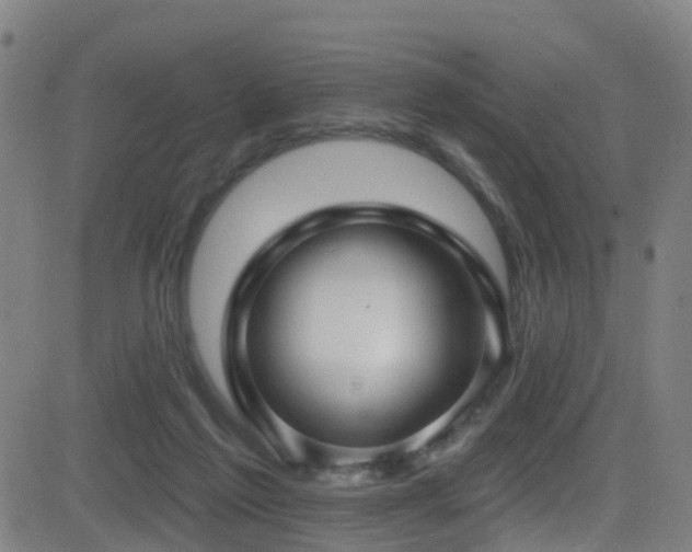 X0000081340213200701111432