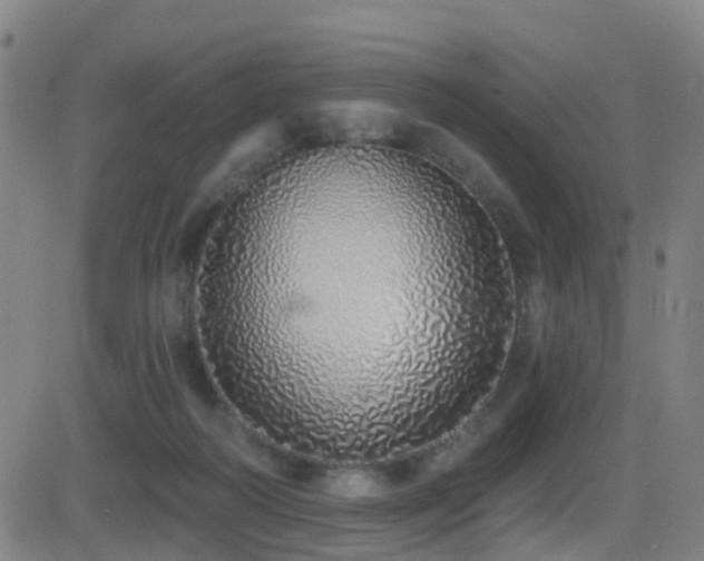 X0000081340218200701111432