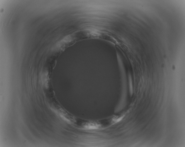 X0000081340223200701111432