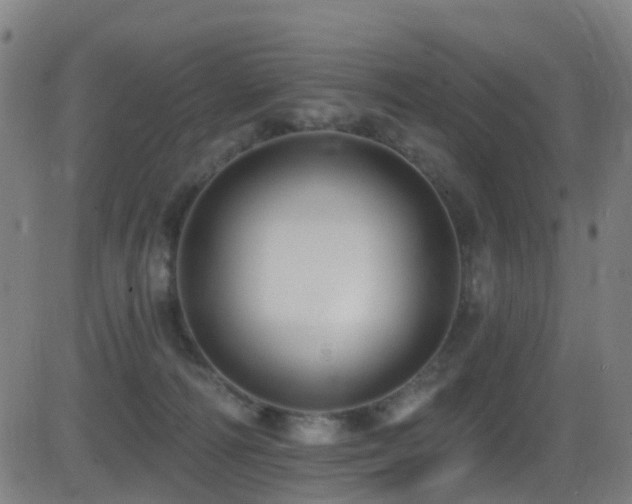 X0000081340226200701111432
