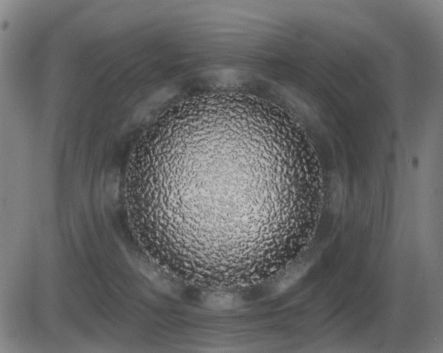 X0000081340230200701111432