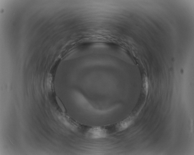 X0000081340231200701111432