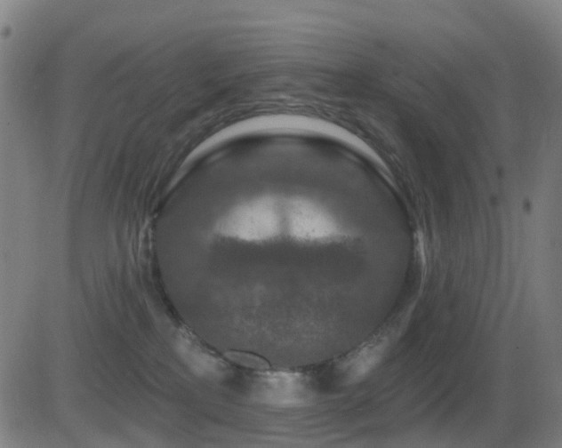 X0000081340233200701111432