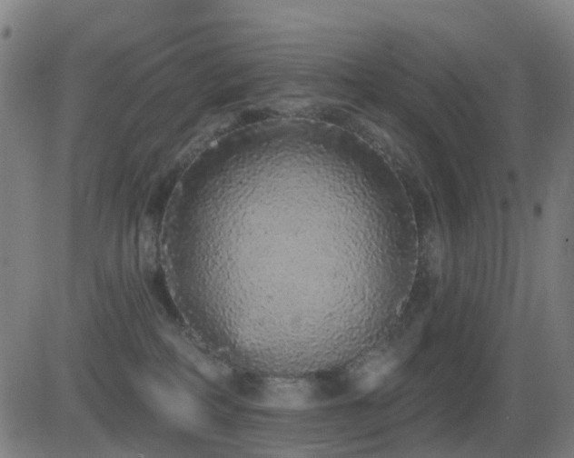 X0000081340234200701111432