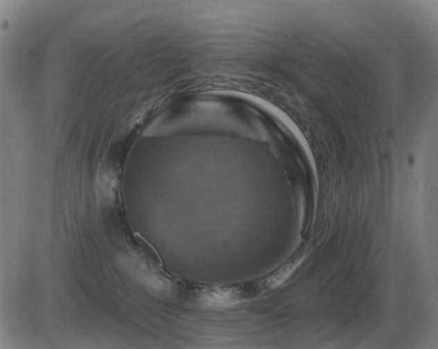 X0000081340235200701111432