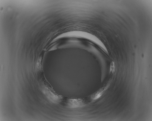 X0000081340239200701111432