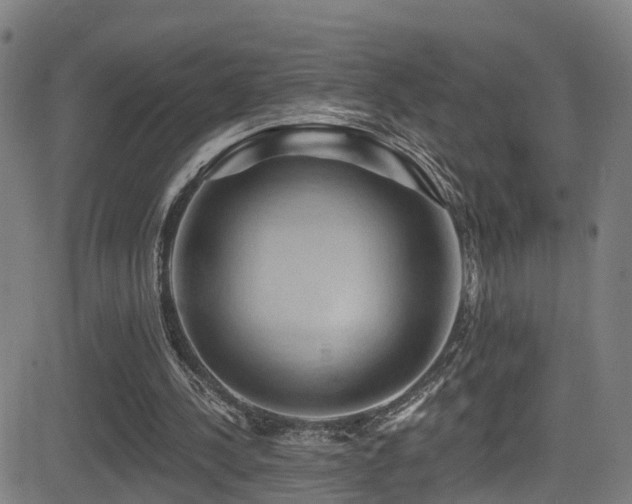 X0000081340244200701111431