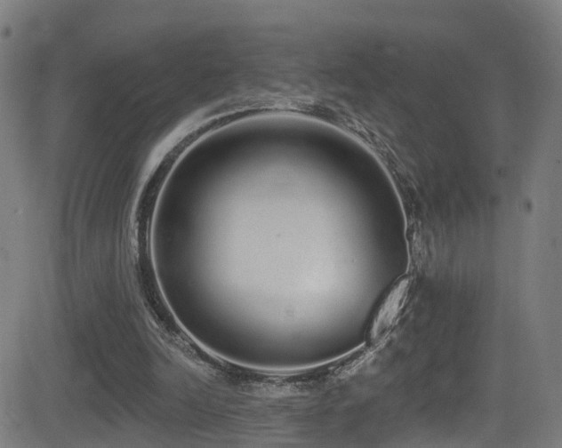 X0000081340246200701111431