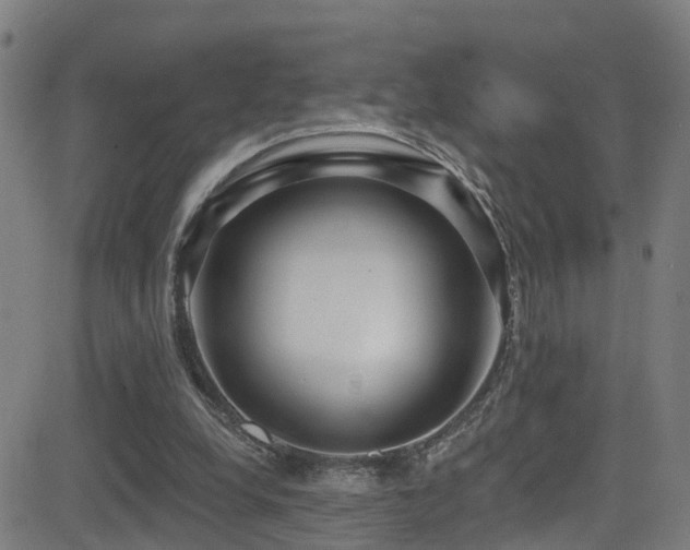 X0000081340248200701111431