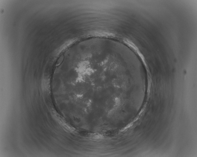 X0000081340249200701111431