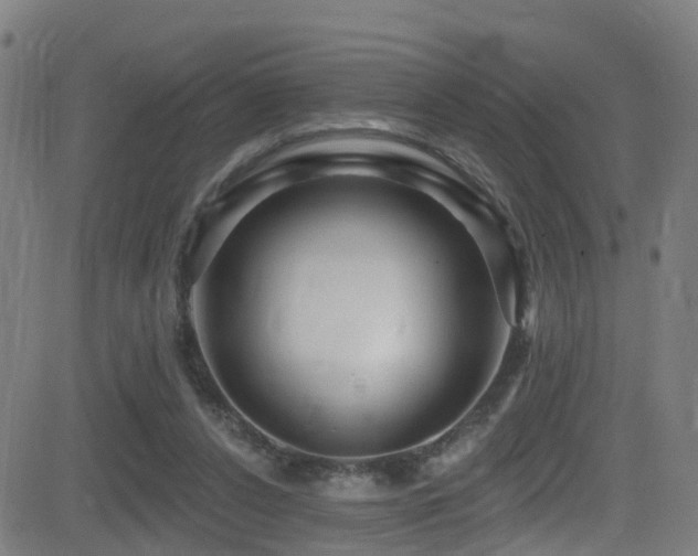 X0000081340256200701111431