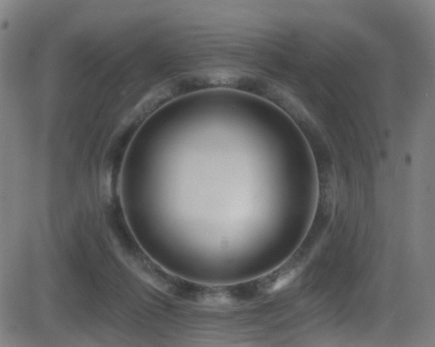 X0000081340262200701111431