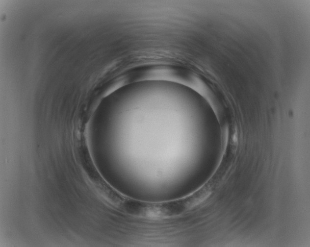 X0000081340264200701111431