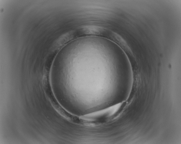 X0000081340265200701111431